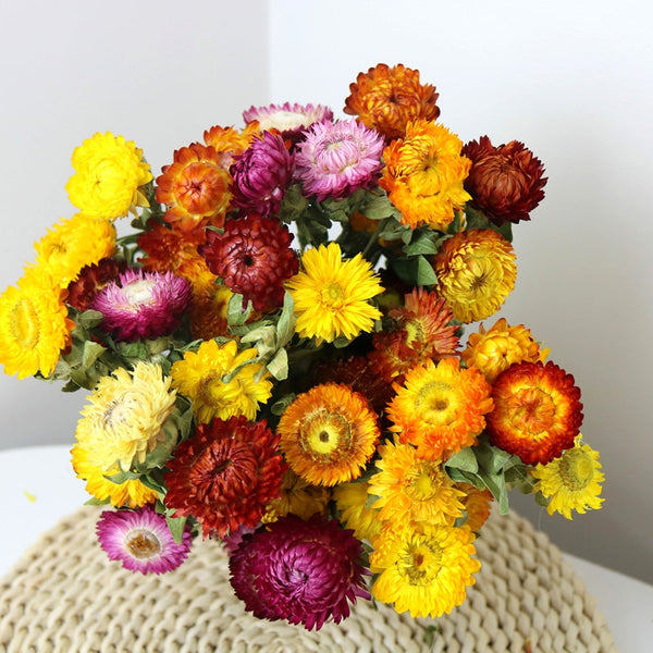 Natural Dried Daisy Flowers, Flower Arrangements, Natural Decorations, A Bunch of Dried Daisy Flowers, Handmade Artificial Flowers for Home Decor-Grace Painting Crafts