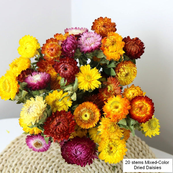 Natural Dried Daisy Flowers, Flower Arrangements, Natural Decorations, A Bunch of Dried Daisy Flowers, Handmade Artificial Flowers for Home Decor-Grace Painting Crafts