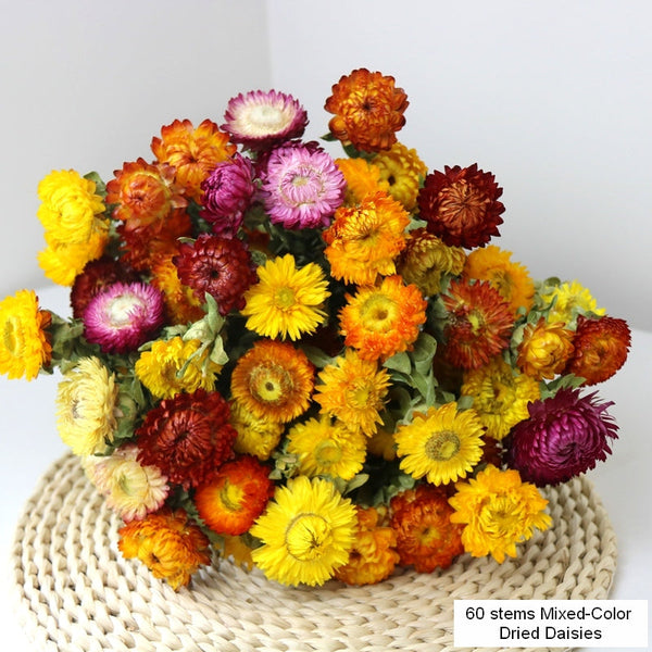 Natural Dried Daisy Flowers, Flower Arrangements, Natural Decorations, A Bunch of Dried Daisy Flowers, Handmade Artificial Flowers for Home Decor-Grace Painting Crafts
