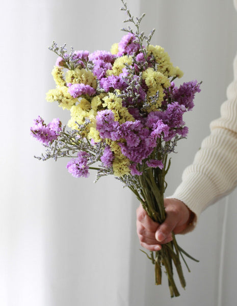 Natural Dried Flower Bunches, Dried Floral, Dried Flowers, A Bunch Dried Myosotis Flowers with Limoniums-Grace Painting Crafts