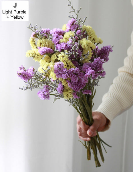 Natural Dried Flower Bunches, Dried Floral, Dried Flowers, A Bunch Dried Myosotis Flowers with Limoniums-Grace Painting Crafts