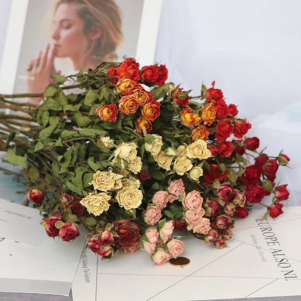 A Bouquet of Dried Rose Flowers, Dried Rose Flower Bouquet, Natural Dried Rose Flower Bunches, A Bunch Dried Rose Flowers, Red Yellow Purple Dried Rose Floral-Grace Painting Crafts