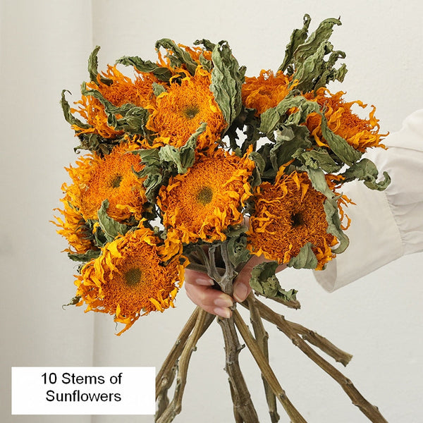 A Bunch of Sunflowers, Natural Decorations, Flower Arrangement, Handmade Artificial Flowers for Home Decor, Natural Dried Sunflower Stems-Grace Painting Crafts