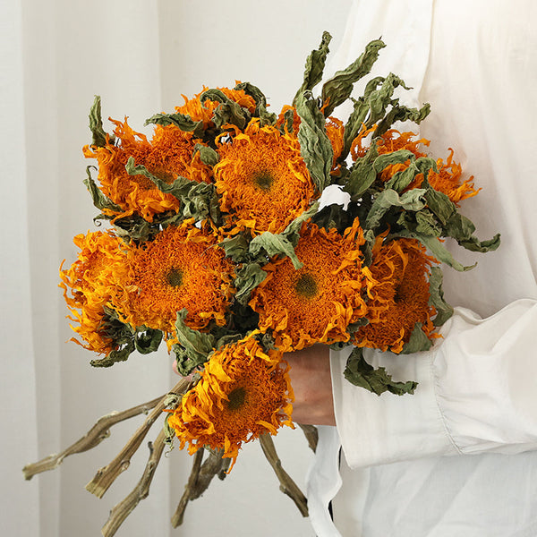 A Bunch of Sunflowers, Natural Decorations, Flower Arrangement, Handmade Artificial Flowers for Home Decor, Natural Dried Sunflower Stems-Grace Painting Crafts