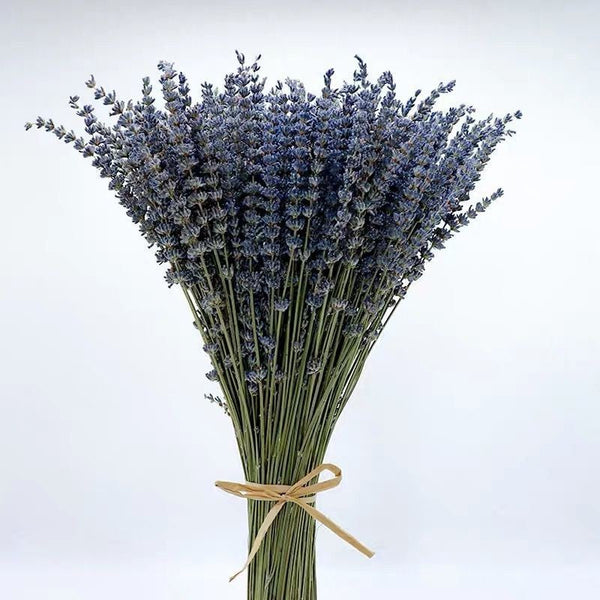 Flower Arrangements, Natural Dried Lavender Flower Bouquet, Natural Dried Lavender Flowers, A Bunch of Dried Lavender Flowers, Handmade Artificial Flowers for Home Decor-Grace Painting Crafts