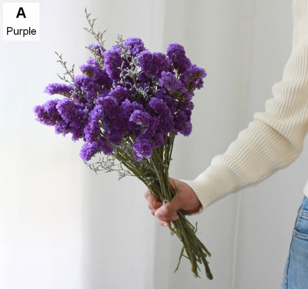 Natural Dried Flower Bunches, Dried Floral, Dried Flowers, A Bunch Dried Myosotis Flowers with Limoniums-Grace Painting Crafts