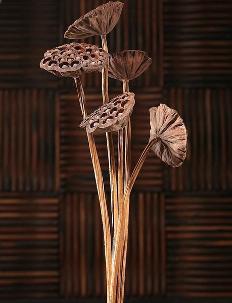Lotus Flower Arrangement, 10 Stems Lotus Pods, Dried Lotus Pods, Natural Decor, Rustic Decor-Grace Painting Crafts