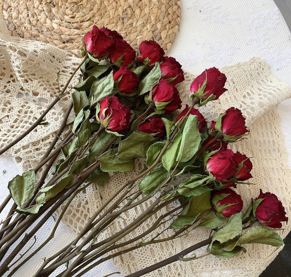 Natural Dried Rose Flower Bunches, Dried Rose Floral Bouquet, Dried Flowers, A Bunch Dried Rose Flowers, Red Yellow Purple Dried Rose Flowers-Grace Painting Crafts