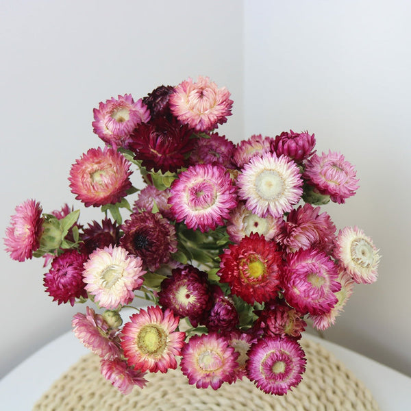 Flower Arrangements, Natural Dried Purple Daisy Flowers, Natural Decorations, A Bunch of Dried Daisy Flowers, Handmade Artificial Flowers for Home Decor-Grace Painting Crafts