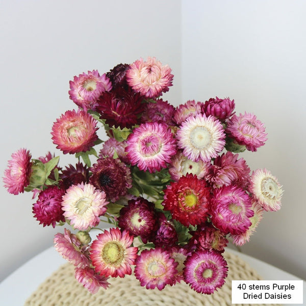 Flower Arrangements, Natural Dried Purple Daisy Flowers, Natural Decorations, A Bunch of Dried Daisy Flowers, Handmade Artificial Flowers for Home Decor-Grace Painting Crafts