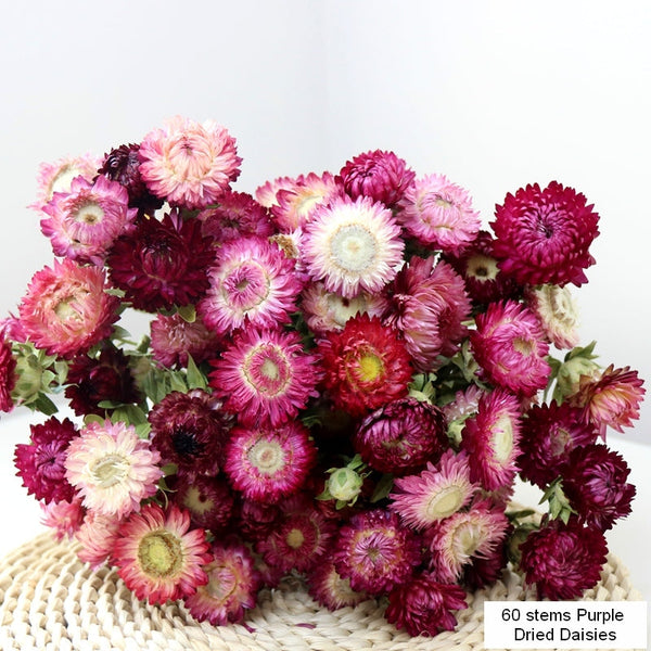 Flower Arrangements, Natural Dried Purple Daisy Flowers, Natural Decorations, A Bunch of Dried Daisy Flowers, Handmade Artificial Flowers for Home Decor-Grace Painting Crafts