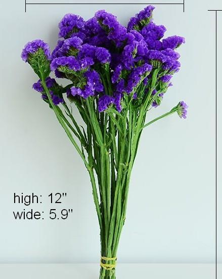 Dried Statices Flower, Dried Flowers, Flower Bunches, Dried Floral-Grace Painting Crafts