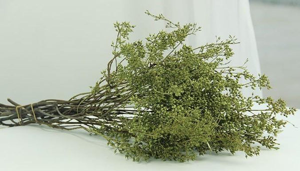 Dried Seek, Dried Flowers, Botanical Home Decor, Seed Stalks. Natural Greenery-Grace Painting Crafts