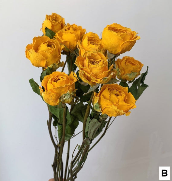 Natural Dried Rose Flower Bunches, Dried Rose Floral Bouquet, Dried Flowers, A Bunch Dried Rose Flowers, Red Yellow Purple Dried Rose Flowers-Grace Painting Crafts