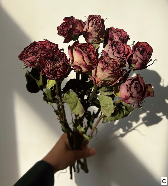 Natural Dried Rose Flower Bunches, Dried Rose Floral Bouquet, Dried Flowers, A Bunch Dried Rose Flowers, Red Yellow Purple Dried Rose Flowers-Grace Painting Crafts