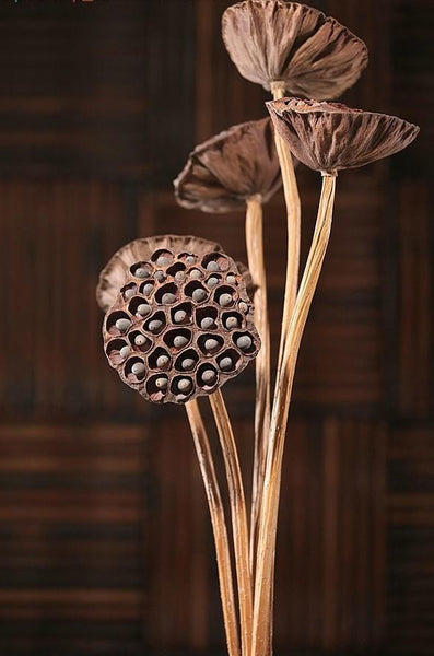 Lotus Flower Arrangement, 10 Stems Lotus Pods, Dried Lotus Pods, Natural Decor, Rustic Decor-Grace Painting Crafts