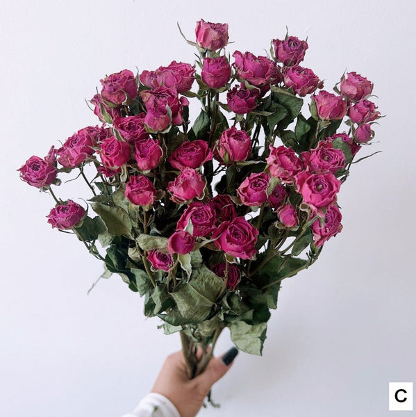 Red Yellow Purple Dried Rose Floral, Dried Rose Flower Bouquet, A Bouquet of Dried Rose Flowers, Natural Dried Rose Flower Bunches, A Bunch Dried Rose Flowers-Grace Painting Crafts