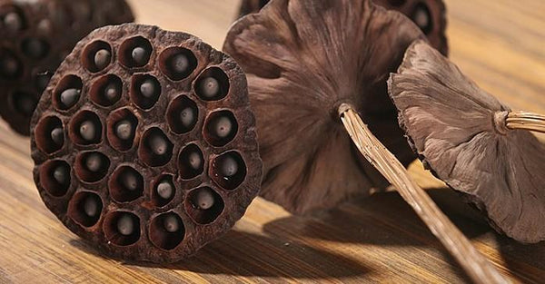 Lotus Flower Arrangement, 10 Stems Lotus Pods, Dried Lotus Pods, Natural Decor, Rustic Decor-Grace Painting Crafts