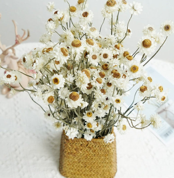 Flower Arrangements, Natural Dried Daisy Flower Bouquet, Natural Dried Daisy Flowers, A Bunch of Dried Daisy Flowers, Handmade Artificial Flowers for Home Decor-Grace Painting Crafts