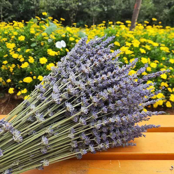 Flower Arrangements, Natural Dried Lavender Flower Bouquet, Natural Dried Lavender Flowers, A Bunch of Dried Lavender Flowers, Handmade Artificial Flowers for Home Decor-Grace Painting Crafts