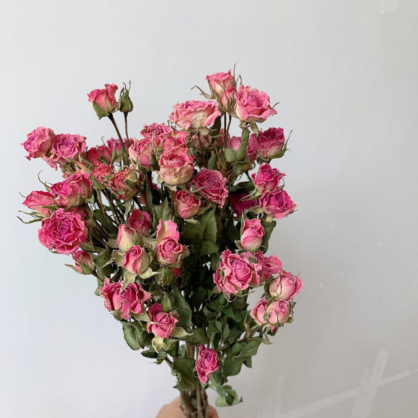 Red Yellow Purple Dried Rose Floral, Dried Rose Flower Bouquet, A Bouquet of Dried Rose Flowers, Natural Dried Rose Flower Bunches, A Bunch Dried Rose Flowers-Grace Painting Crafts