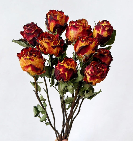 Rose Floral Bouquet, Dried Rose Flowers, Natural Dried Rose Flower Bunches, A Bunch Dried Rose Flowers, Red Yellow Purple Dried Rose Flowers-Grace Painting Crafts