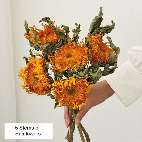 Natural Decorations, A Bunch of Sunflowers, Flower Arrangement, Handmade Artificial Flowers for Home Decor, Natural Dried Sunflower Stems-Grace Painting Crafts