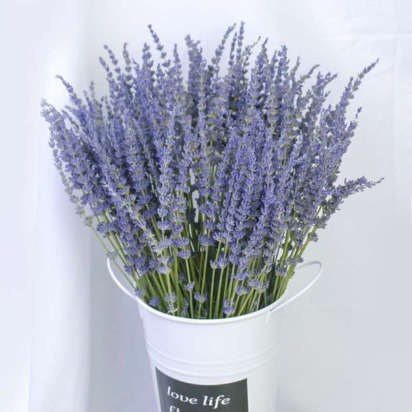 Flower Arrangements, Natural Dried Lavender Flower Bouquet, Natural Dried Lavender Flowers, A Bunch of Dried Lavender Flowers, Handmade Artificial Flowers for Home Decor-Grace Painting Crafts