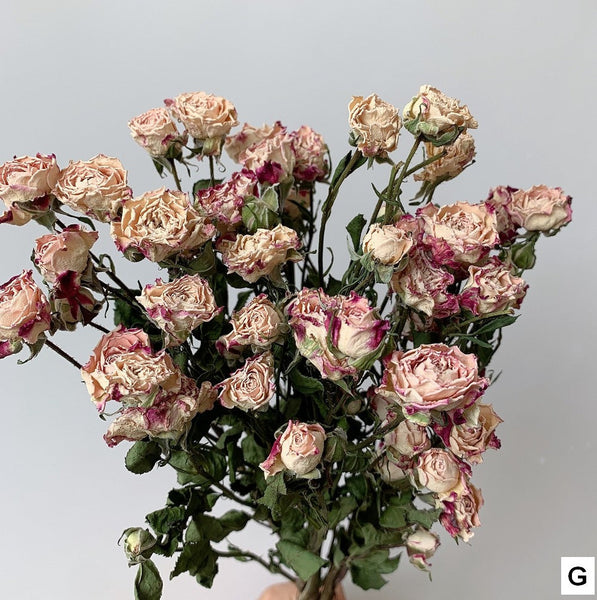 A Bouquet of Dried Rose Flowers, Dried Rose Flower Bouquet, Natural Dried Rose Flower Bunches, A Bunch Dried Rose Flowers, Red Yellow Purple Dried Rose Floral-Grace Painting Crafts