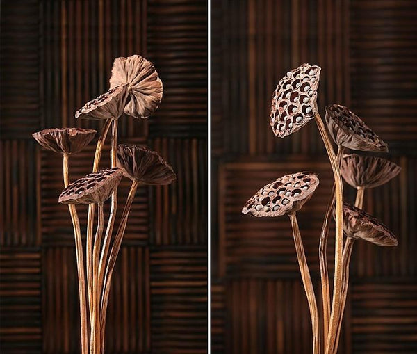 Lotus Flower Arrangement, 10 Stems Lotus Pods, Dried Lotus Pods, Natural Decor, Rustic Decor-Grace Painting Crafts