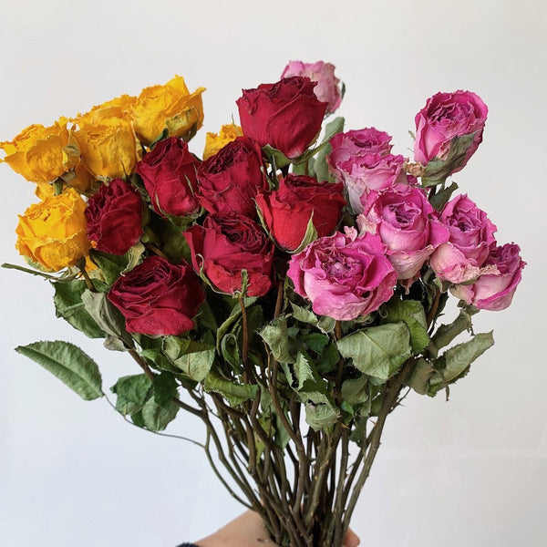 Dried Rose Floral Bouquet, Dried Rose Flowers, Natural Dried Rose Flower Bunches, A Bunch Dried Rose Flowers, Red Yellow Purple Dried Rose Flowers-Grace Painting Crafts