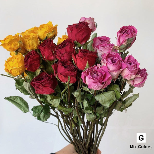 Dried Rose Floral Bouquet, Dried Rose Flowers, Natural Dried Rose Flower Bunches, A Bunch Dried Rose Flowers, Red Yellow Purple Dried Rose Flowers-Grace Painting Crafts