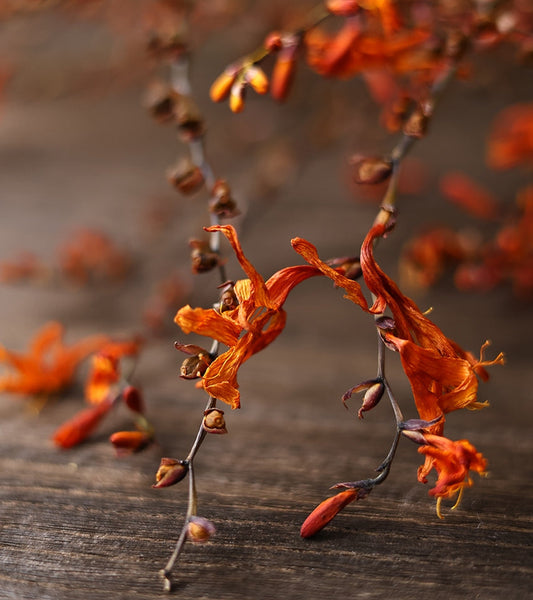 Dried Fire Orchid Bouquet, Natural Decorations, Flower Arrangement, Handmade Artificial Flower, Natural Dried Flowers-Grace Painting Crafts