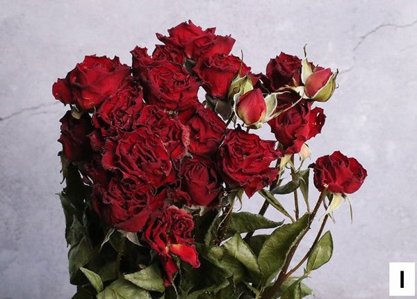 Red Yellow Purple Dried Rose Floral, Dried Rose Flower Bouquet, A Bouquet of Dried Rose Flowers, Natural Dried Rose Flower Bunches, A Bunch Dried Rose Flowers-Grace Painting Crafts