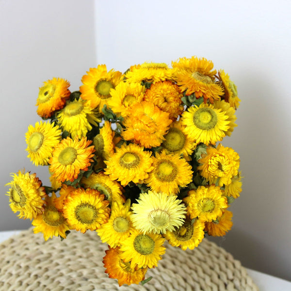 Natural Decorations, A Bunch of Dried Daisy Flowers, Flower Arrangements, Natural Dried Yellow Daisy Flowers, Handmade Artificial Flowers for Home Decor-Grace Painting Crafts