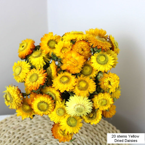 Natural Decorations, A Bunch of Dried Daisy Flowers, Flower Arrangements, Natural Dried Yellow Daisy Flowers, Handmade Artificial Flowers for Home Decor-Grace Painting Crafts