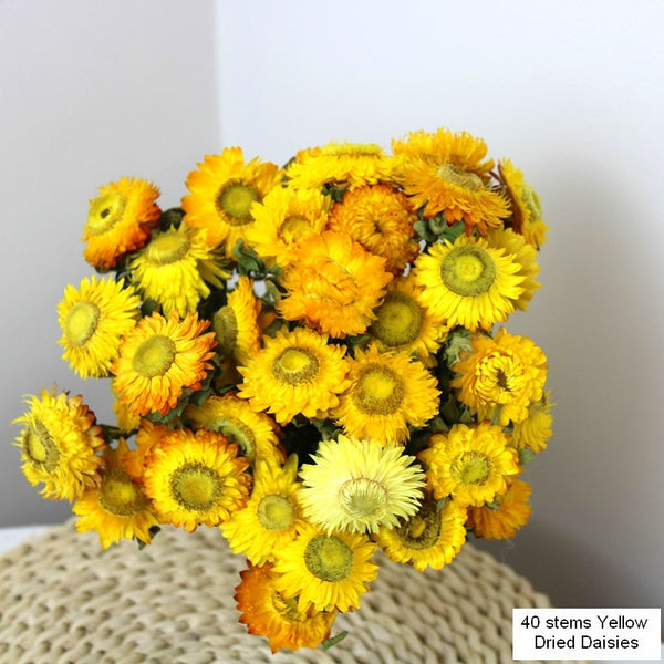 Natural Decorations, A Bunch of Dried Daisy Flowers, Flower Arrangements, Natural Dried Yellow Daisy Flowers, Handmade Artificial Flowers for Home Decor-Grace Painting Crafts