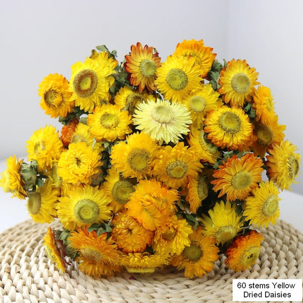 Natural Decorations, A Bunch of Dried Daisy Flowers, Flower Arrangements, Natural Dried Yellow Daisy Flowers, Handmade Artificial Flowers for Home Decor-Grace Painting Crafts