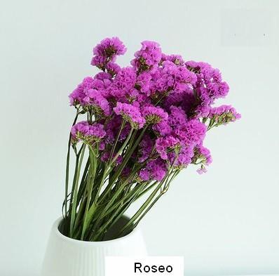 Dried Statices Flower, Dried Flowers, Flower Bunches, Dried Floral-Grace Painting Crafts