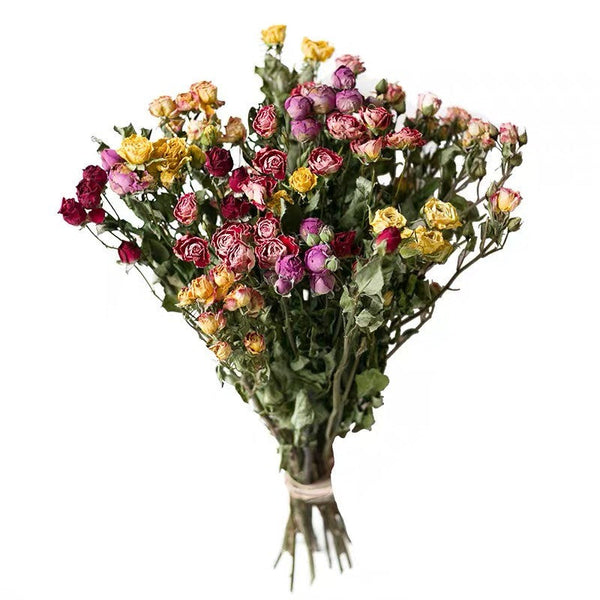 Red Yellow Purple Dried Rose Floral, Dried Rose Flower Bouquet, A Bouquet of Dried Rose Flowers, Natural Dried Rose Flower Bunches, A Bunch Dried Rose Flowers-Grace Painting Crafts