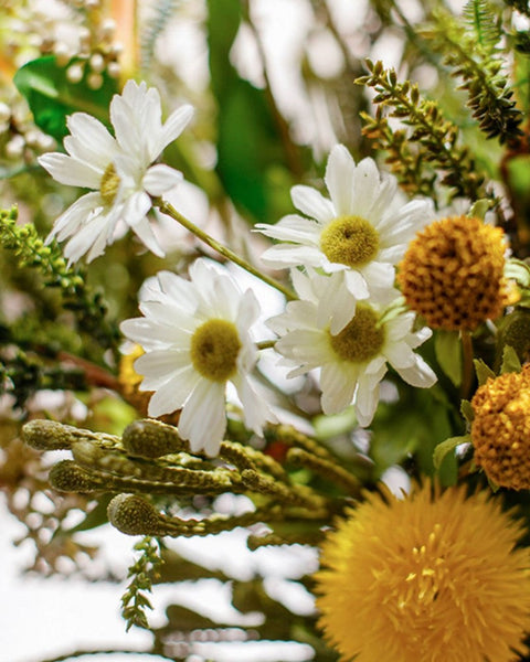 Beautiful Modern Artificial Flowers for Dining Room Table, Dandelion, Wheat Branch, Eucalyptus Globulus, Unique Flower Arrangement for Home Decoration-Grace Painting Crafts