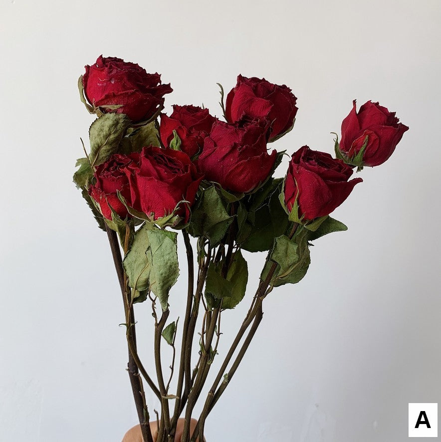 Dried Rose Floral Bouquet, Dried Rose Flowers, Natural Dried Rose Flower Bunches, A Bunch Dried Rose Flowers, Red Yellow Purple Dried Rose Flowers-Grace Painting Crafts