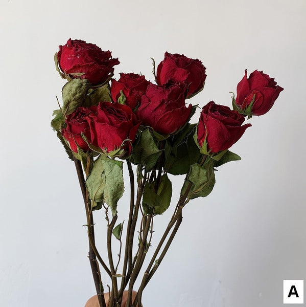 Natural Dried Rose Flower Bunches, Dried Rose Floral Bouquet, Dried Flowers, A Bunch Dried Rose Flowers, Red Yellow Purple Dried Rose Flowers-Grace Painting Crafts
