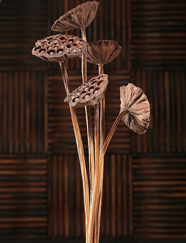 10 Stems Lotus Pods, Dried Lotus Pods, Natural Decor, Rustic Decor, Lotus Flower Arrangement-Grace Painting Crafts