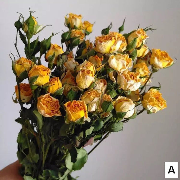 Red Yellow Purple Dried Rose Floral, Dried Rose Flower Bouquet, A Bouquet of Dried Rose Flowers, Natural Dried Rose Flower Bunches, A Bunch Dried Rose Flowers-Grace Painting Crafts
