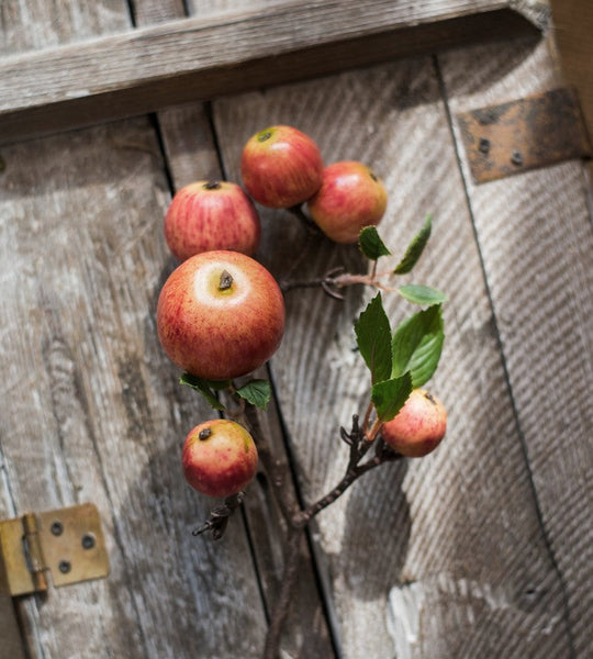 Apple Branch, Fruit Branch, Table Centerpiece, Beautiful Modern Flower Arrangement Ideas for Home Decoration, Autumn Artificial Floral for Dining Room-Grace Painting Crafts