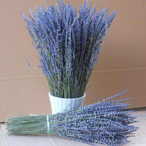 Natural Dried Lavender Flower Bouquet, Natural Dried Lavender Flowers, A Bunch of Dried Lavender Flowers, Handmade Artificial Flowers for Home Decor, Flower Arrangements-Grace Painting Crafts