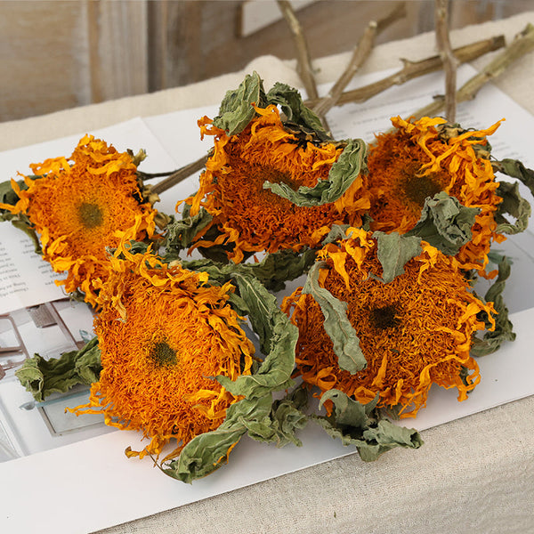 Natural Decorations, A Bunch of Sunflowers, Flower Arrangement, Handmade Artificial Flowers for Home Decor, Natural Dried Sunflower Stems-Grace Painting Crafts
