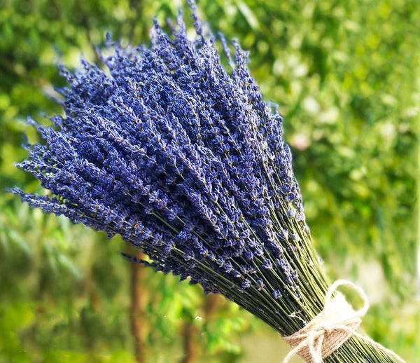 Natural Dried Lavender Flower Bouquet, Natural Dried Lavender Flowers, A Bunch of Dried Lavender Flowers, Handmade Artificial Flowers for Home Decor, Flower Arrangements-Grace Painting Crafts