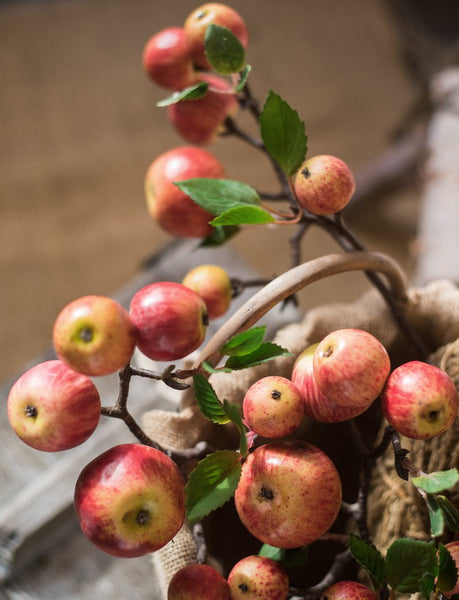 Apple Branch, Fruit Branch, Table Centerpiece, Beautiful Modern Flower Arrangement Ideas for Home Decoration, Autumn Artificial Floral for Dining Room-Grace Painting Crafts